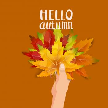 Hand hold autumn colorful leaves bright bouquet fall, floral. Hello Autumn lettering