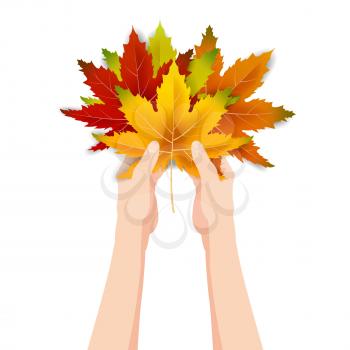 Hands hold autumn colorful leaves bright bouquet fall, floral. Hello Autumn lettering