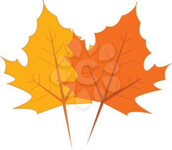 Yellow and orange maple leaves vector illustration on white background 