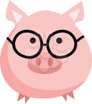 Pink pig with round eyeglasses vector illustration on white background 