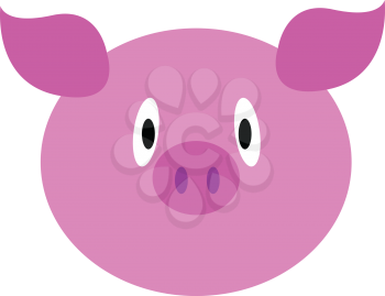 Face of a pink baby pig with confused expression vector color drawing or illustration 