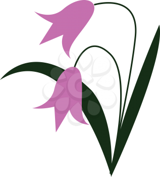 A bush with two beautiful bell shape pink flowers vector color drawing or illustration 