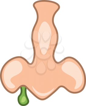 An image of a nose with green mucus coming out of it vector color drawing or illustration