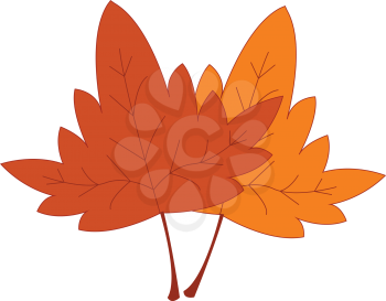 Dried yellow and red leaves print vector on white background