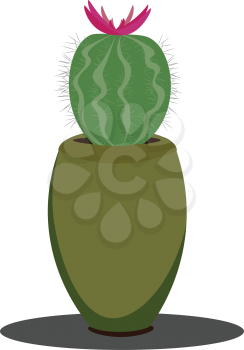 Cactus in the blooming stage vector illustration 