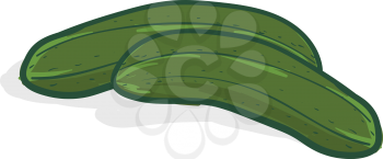 Two green cucumbers 