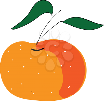 Mandarine with green leaves illustration vector on white background 