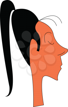 Girl with long black ponytail vector or color illustration