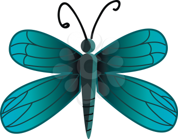 A beautiful blue butterfly vector or color illustration