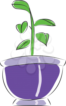 Pot with a small flower illustration vector on white background 