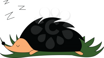 Sleeping hedgehog illustration vector on white background 