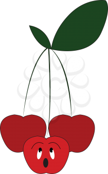 Three cherry fruits vector or color illustration