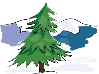 Outdoor Christmas tree vector or color illustration
