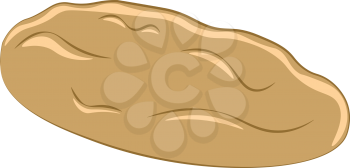 Freshly baked cookie vector or color illustration