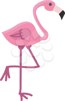 Flamingo bird standing vector or color illustration