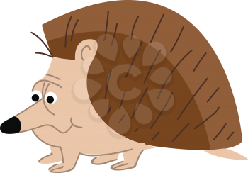A spiny hedgehog vector or color illustration
