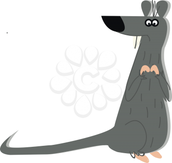 A grey rat with long tail vector or color illustration