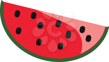 Slice of watermelon vector or color illustration