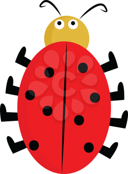A cartoon cute little dome-shaped lady beetle red in color gives a strange look with its bulging eyes vector color drawing or illustration 