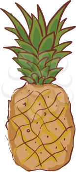 A large juicy tropical fruit with fleshy sweet surrounded by a tough segmented skin and topped with a tuft of stiff green leaves vector color drawing or illustration 