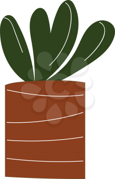 Simple vector illustration of a plant with round leaves in a brown pot with white stripes white background