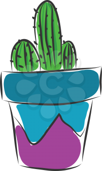Cactus inside a blue and purple vase vector illustration on a whte background