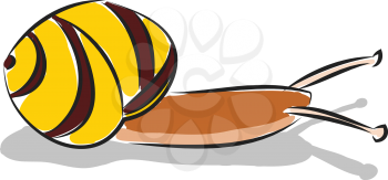 Simple cartoon of a yellow and brown snail vector illustration on white background
