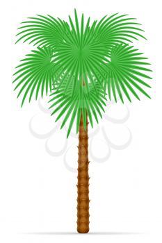 palm tree and accessories for rest stock vector illustration isolated on white background