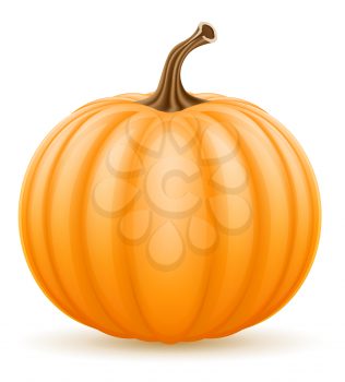 pumpkin stock vector illustration isolated on white background
