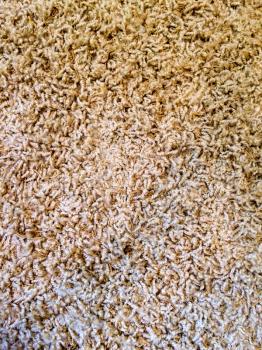 Close up of carpet fibers for modern design background