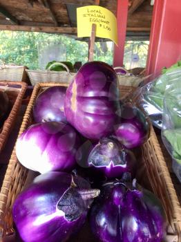 purple eggplant in basket for sale farmers marketplace