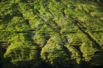 Green grass pattern of Bordoy pyramid mountains, Faroe Islands