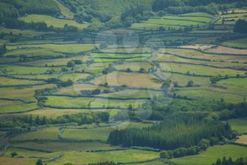 Green agricultural pattern of Faial Island, Azores, Portugal