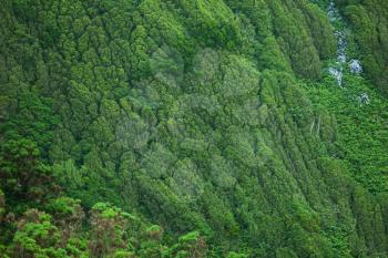 Lush green Landscape of Flores Island, Azores, Portugal