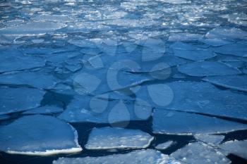 Broken ice in the baltic sea