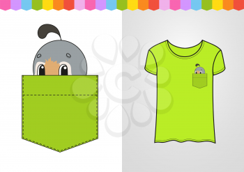 Cute character in shirt pocket. Quail bird. Colorful vector illustration. Cartoon style. Isolated on white background. Design element.