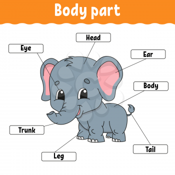 Body part. Learning words. Education developing worksheet. Activity page for study English. Game for children. Funny character. Isolated vector illustration. Cartoon style.