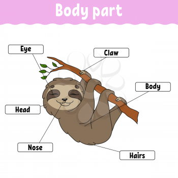 Body part. Learning words. Education developing worksheet. Activity page for study English. Game for children. Funny character. Isolated vector illustration. Cartoon style.