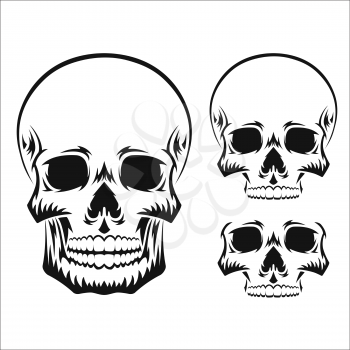Human skull. Black silhouette. Design element. Hand drawn sketch. Vector illustration isolated on white background.