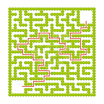 Square labyrinth of garden bushes. Game for kids. Puzzle for children. One entrance, one exit. Labyrinth conundrum. Flat vector illustration. With answer. With place for your image