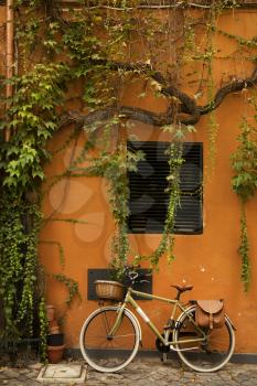 Bicycle on a orange wall with tree and green leaves