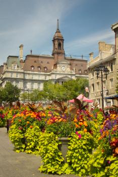 View of Montreal city hall with flowers in foreground