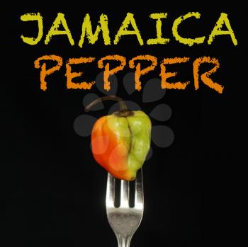 Jamaica pepper on a fork a black background