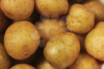Close up of potatoes yukon gold