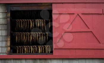 Fresh smoked herring in a red house in Magdelan island in Canada