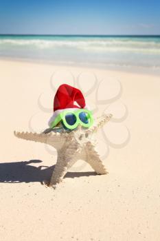 starfish on a beach having a christmas hat and sunglasses