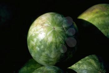 Watermelon Stock Photo