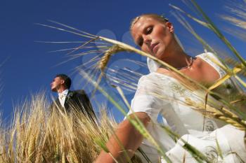 Royalty Free Photo of Newlyweds in a Field
