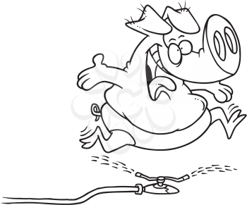Royalty Free Clipart Image of a Pig Running Through a Sprinkler