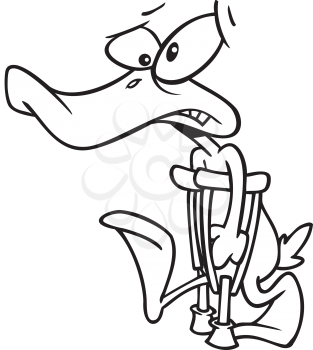 Royalty Free Clipart Image of a Duck on Crutches